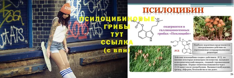 Псилоцибиновые грибы MAGIC MUSHROOMS  дарнет шоп  Долинск 